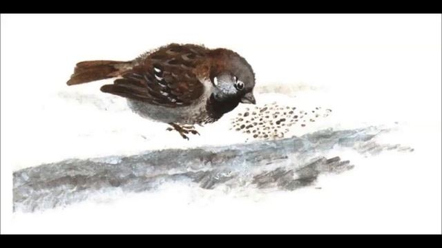 Николай Сладков Без слов смотреть онлайн