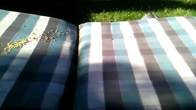 Как ест сурок смотреть онлайн