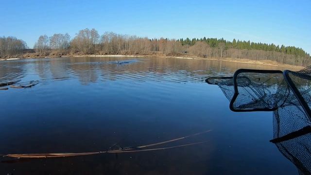 Рыбалка на фидер ранней весной | Большой улов разнорыбицы смотреть онлайн