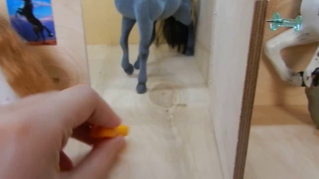 Обзор по конюшне