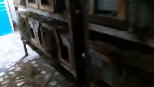 Одноярусная клетка смотреть онлайн