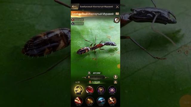 The Ants | КАКИХ ГЕНЕРАЛОВ КАЧАТЬ??? | The Ants Underground kingdom смотреть онлайн