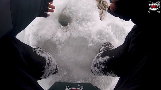 Когда плохо клюет ОКУНЬ. Зимняя рыбалка в глухозимье. Уловистая мормышка на окуня смотреть онлайн