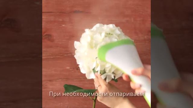 Гортензия белая смотреть онлайн
