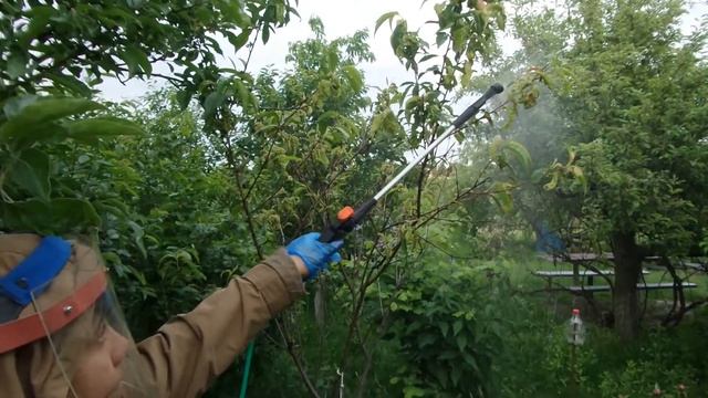 I Обработка Персика Фунгицидом от Мучнистой Росы и Грибковых заболеваний Опрыскивателем 20210603 смотреть онлайн