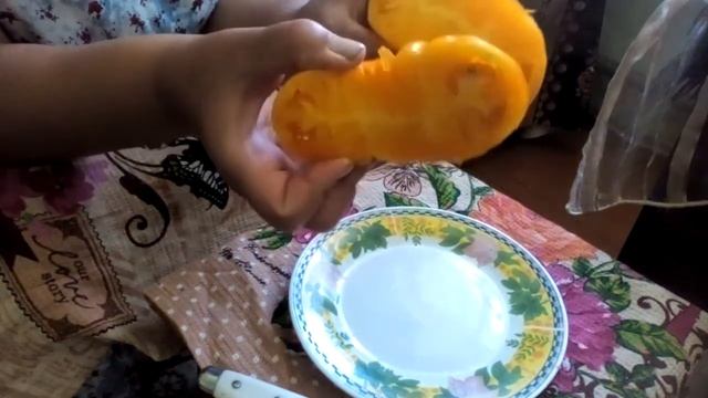 Необычный томат-Трюфель Желтый!