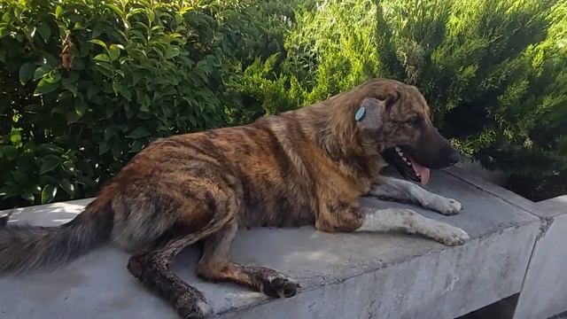 ТБИЛИСИ 2021 бюджетная поездка часть 1 - ДОСТОПРИМЕЧАТЕЛЬНОСТИ, цены смотреть онлайн