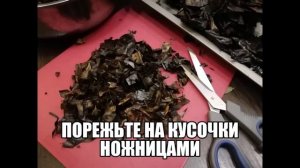 Бадан. Сбор, заготовка для чая