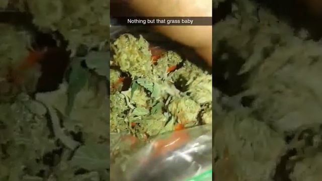 Blue dream review(4) смотреть онлайн