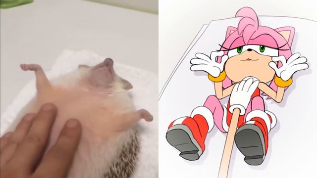 FUN: Amy's relaxing tummy rubs [ by minus8 ] смотреть онлайн