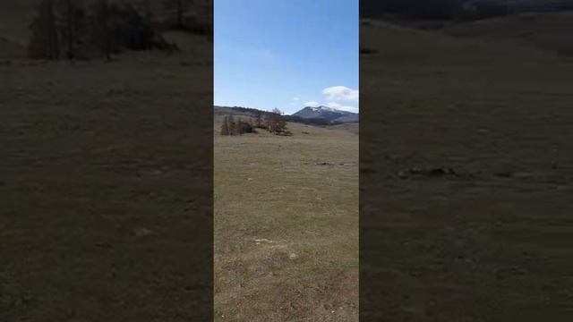 Кош Агачский район. Алтай смотреть онлайн