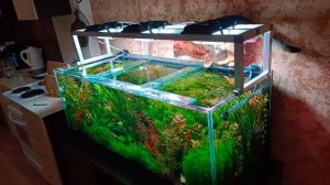 Свет в аквариуме травнике своими руками