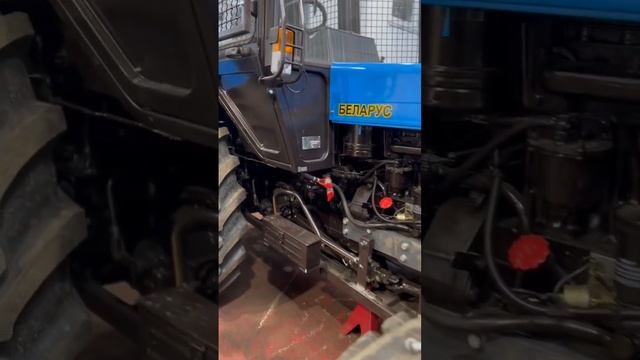 Что за скотина этот мул ? смотреть онлайн