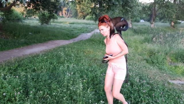Маленькая обезьянка на пляже. Как отдыхает домашний капуцин.Лето 2021. смотреть онлайн