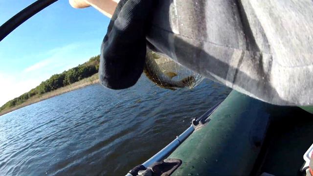 Злые поклевки щук лета 2021г. смотреть онлайн