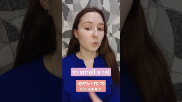Что на самом деле означает фраза "TO SMELL A RAT" #english #английский #englishteacher смотреть онлайн