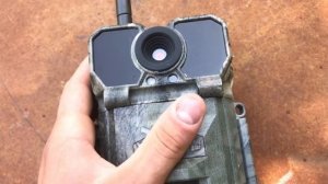 Лучшая Охрана для Пасеки!