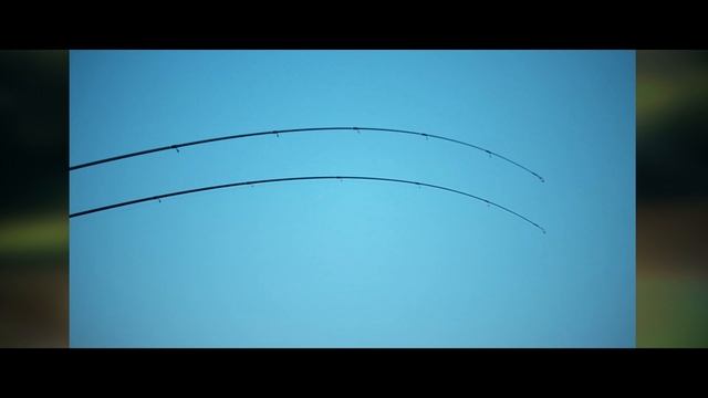 Сравнение спиннингов Narval Argument и Zetrix Exilon