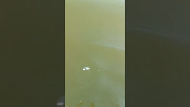 Мурманск прогулка на весельной лодке. смотреть онлайн