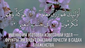Красивое чтение Корана Сура 37 "Ас-Саффат" (Выстроившиеся в ряды) Чтец Саид Дубаха