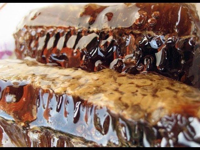 Про МЁД - что такое падевый мёд?