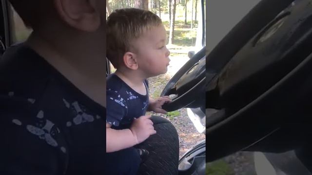 Природа/Семья/Лес/Поездка за грибами/Санкт-Петербург смотреть онлайн