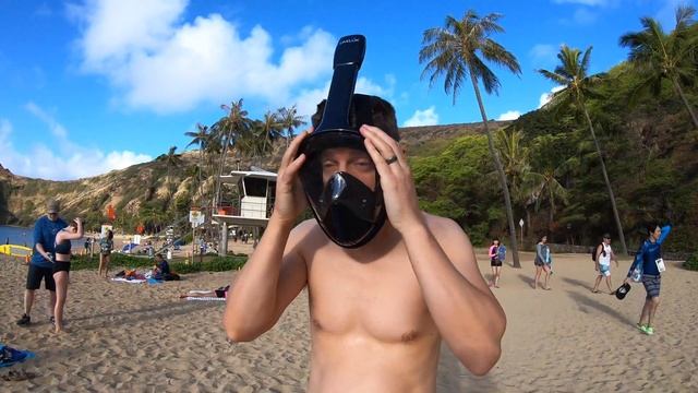 [REVIEW] 1st Use of DIVELUX Full Face Snorkel Mask | Hanauma Bay, Oahu, Hawaii смотреть онлайн