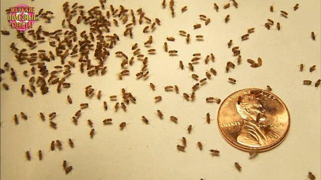 Ремонтные Открытия