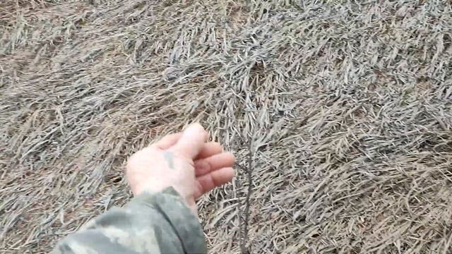 Гости приезжали из Красноармейска смотреть онлайн