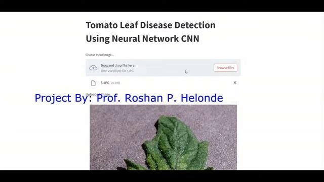 Python Code for Tomato Leaf Disease Detection Using Image Processing | Plant Disease Classification смотреть онлайн