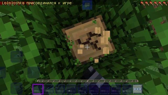 Включил камеру во время игры с падругай