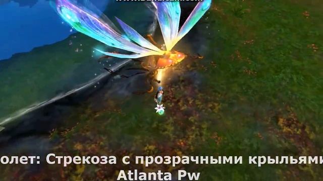 Стрекоза с прозрачными крыльями смотреть онлайн