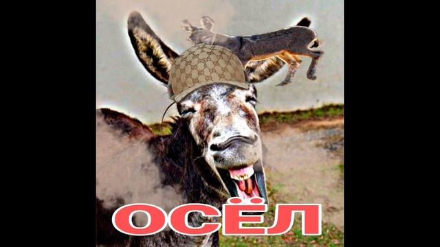 асмр трек осёл от павлины ? смотреть онлайн