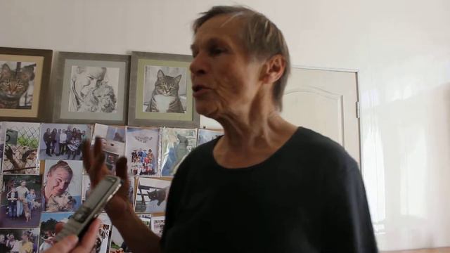 Гостомель притулок для тварин. смотреть онлайн