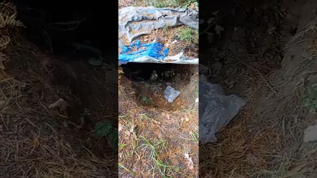 Партизанская Землянка смотреть онлайн