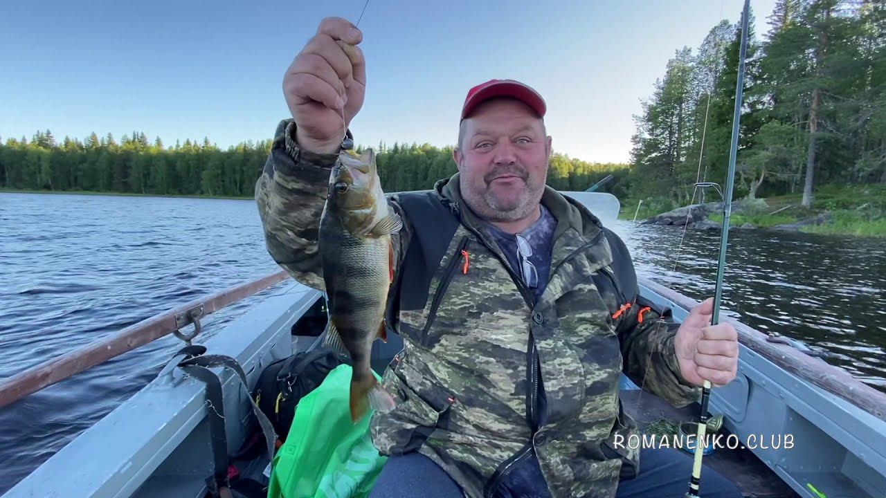 Отдых и рыбалка в Карелии. Озеро Верхнее Куйто. Июль 2020 г. смотреть онлайн