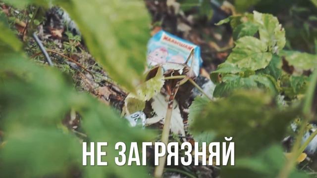 СтопМусор - люди против мусора | StopMusor - people against waste смотреть онлайн
