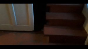 Как сделать талисман обезьяны ? Эпизод 3 《Мартышка в бегах》 Последние камни чудес