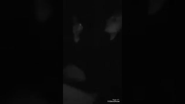 VALET От Земли до Луны и обратно смотреть онлайн