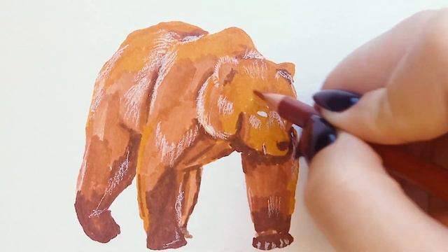 Бурый Медведь-Самый Крупный Хищник, Все Еще Живущий на Европейском Континенте! Рисуем Просто! смотреть онлайн