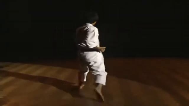 Тайкиёку шодан (taikyoku shodan). "Великое начало" - шотокан каратэ смотреть онлайн