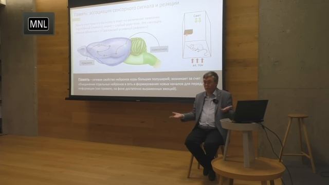 Вячеслав Дубынин. Лекция про Мозг смотреть онлайн