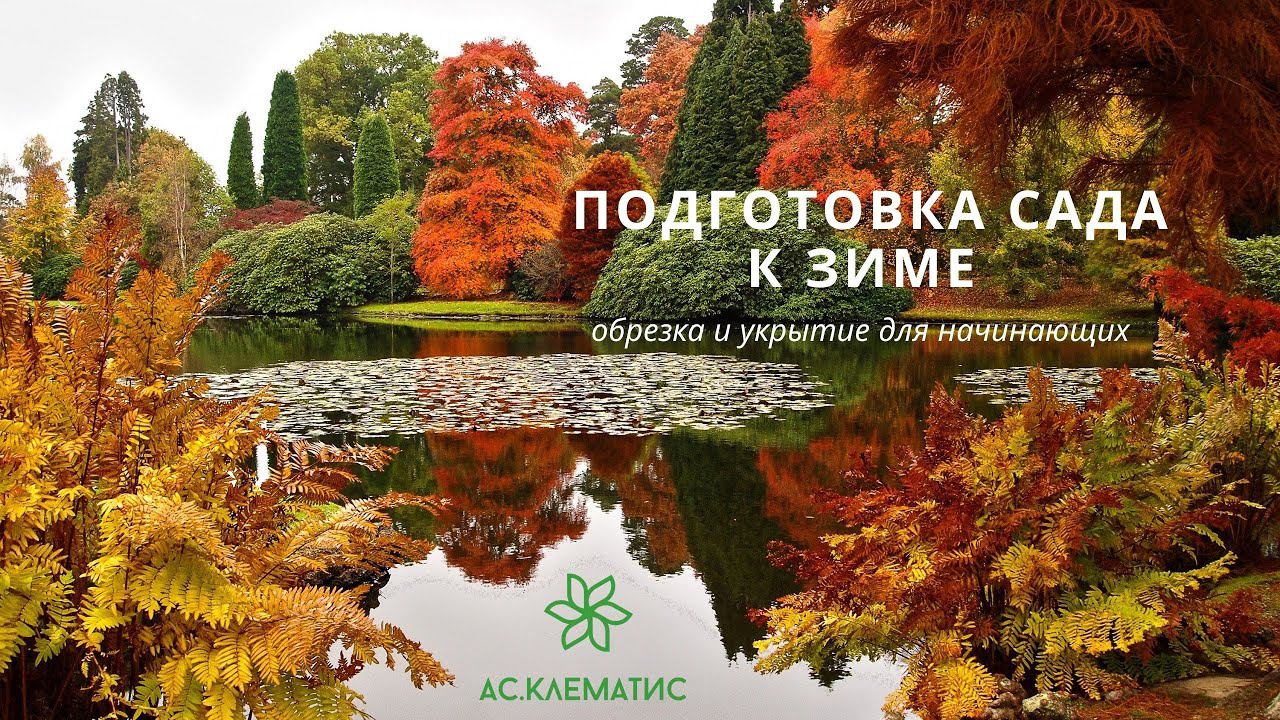 Сад перед обрезкой и укрытием на зиму | Красоты поздней осени: Розы Гортензии Клематисы смотреть онлайн