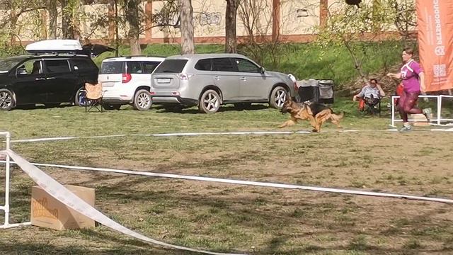 Баларис Штерн КЧК