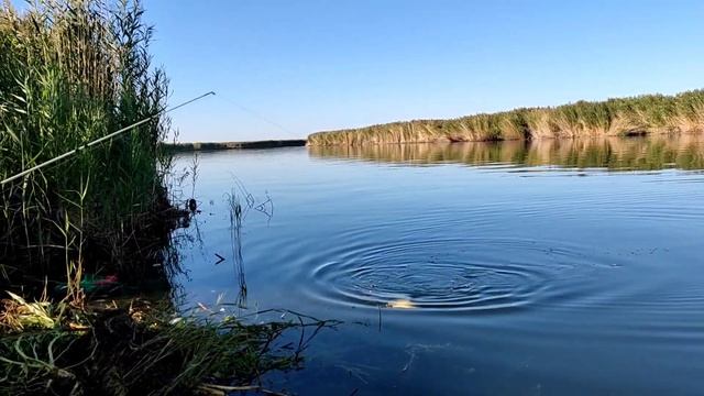 Балхаш. Рыбалка на Балхаше. 28-30 августа 2022 г. смотреть онлайн