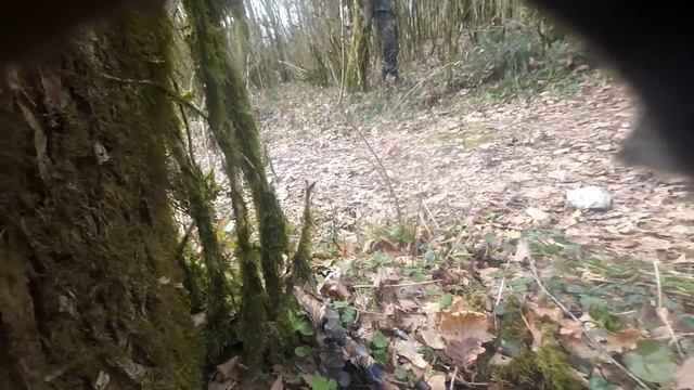 Мертвый лес.Airsoft sniper. Страйкбол в Сочи. смотреть онлайн