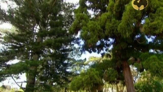 Огород без хлопот - С чего начать на новом участке (2й сезон 1 серия) смотреть онлайн