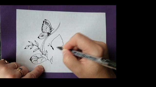 Бабочки на веточке смотреть онлайн