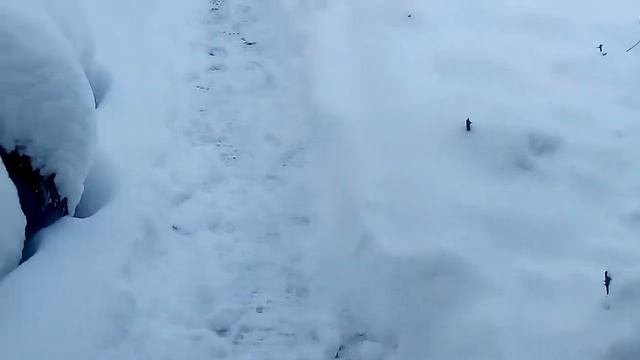Опять зима.Спасение котёнка-подростка! смотреть онлайн