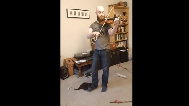 The Cat And The Fiddle